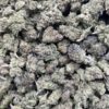 Government Oasis Strain