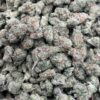 Berry Pie Strain