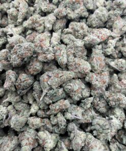 Berry Pie Strain