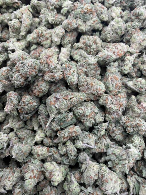 Berry Pie Strain